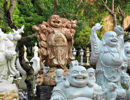 The secrets of learning a new language