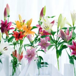 Tổng hợp các loại hoa dùng để thờ cúng phù hợp trong phong thuỷ