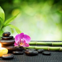 Giá trị tư tưởng nghệ thuật và thể loại trong văn học Lý – Trần
